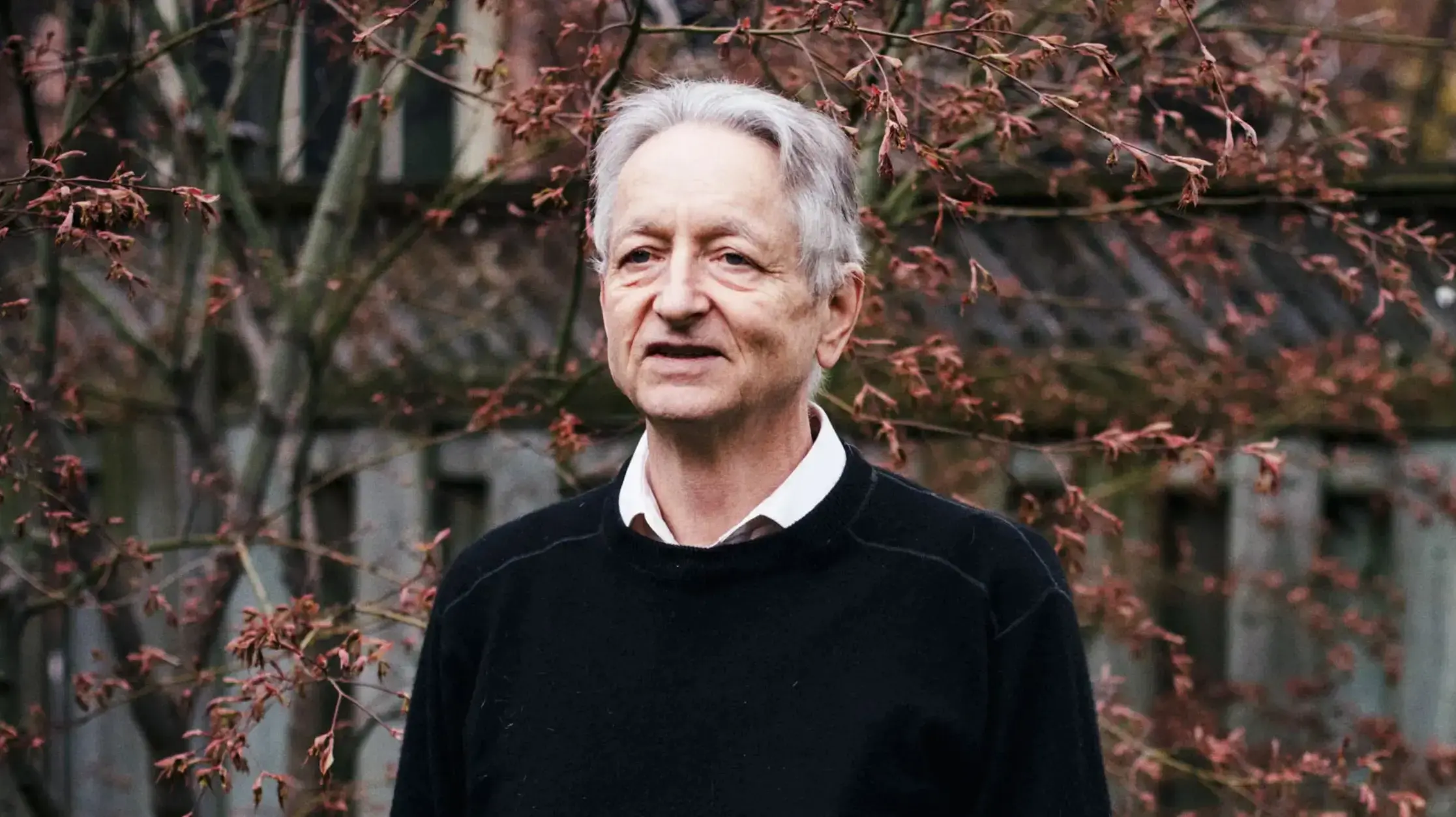 Geoffrey Hinton: 深度学习的布道者与教父